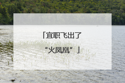 宜职飞出了“火凤凰”