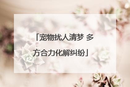 宠物扰人清梦 多方合力化解纠纷