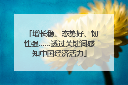 增长稳、态势好、韧性强……透过关键词感知中国经济活力