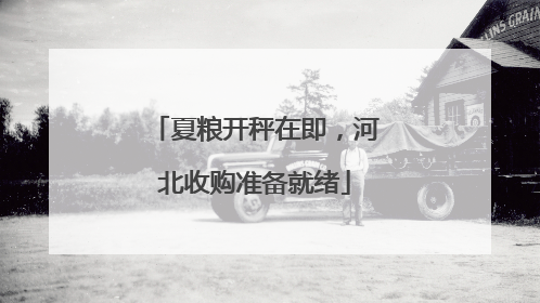 夏粮开秤在即，河北收购准备就绪