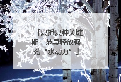 夏播夏种关键期，范县释放强劲“水动力”