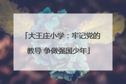 大王庄小学：牢记党的教导 争做强国少年