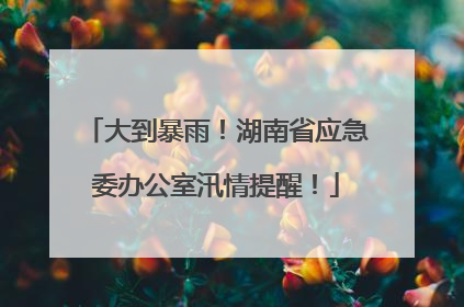 大到暴雨！湖南省应急委办公室汛情提醒！