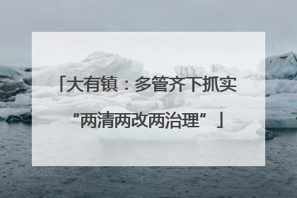大有镇：多管齐下抓实“两清两改两治理”