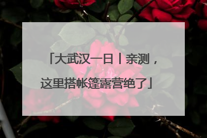 大武汉一日丨亲测，这里搭帐篷露营绝了