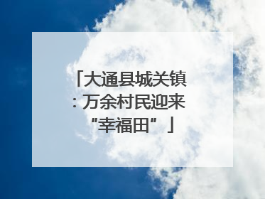 大通县城关镇：万余村民迎来“幸福田”