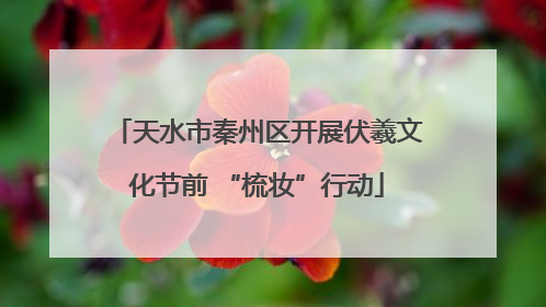 天水市秦州区开展伏羲文化节前 “梳妆”行动