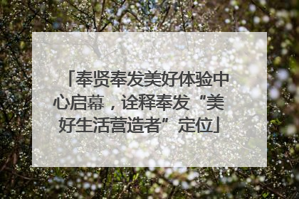 奉贤奉发美好体验中心启幕，诠释奉发“美好生活营造者”定位