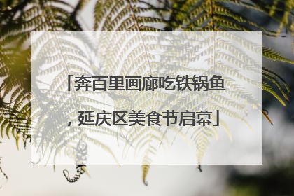 奔百里画廊吃铁锅鱼，延庆区美食节启幕