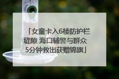 女童卡入6楼防护栏缝隙 海口辅警与群众5分钟救出获赠锦旗