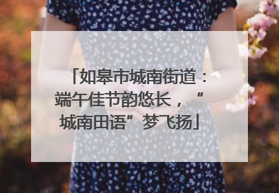 如皋市城南街道：端午佳节韵悠长，“城南田语”梦飞扬