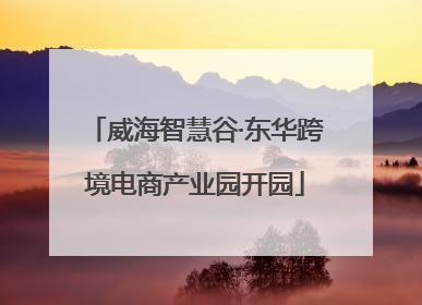 威海智慧谷·东华跨境电商产业园开园
