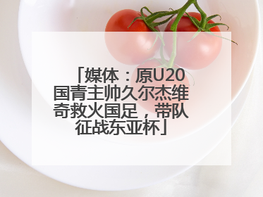 媒体：原U20国青主帅久尔杰维奇救火国足，带队征战东亚杯