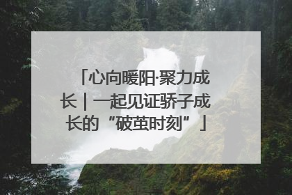 心向暖阳·聚力成长｜一起见证骄子成长的“破茧时刻”