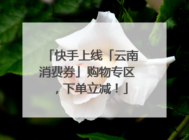 快手上线「云南消费券」购物专区，下单立减！