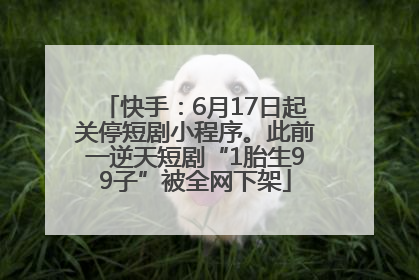 快手：6月17日起关停短剧小程序。此前一逆天短剧“1胎生99子”被全网下架