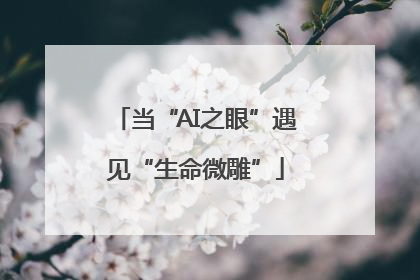 当“AI之眼”遇见“生命微雕”
