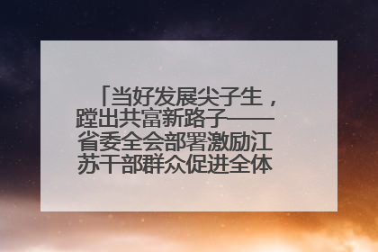 当好发展尖子生，蹚出共富新路子——省委全会部署激励江苏干部群众促进全体人民共同富裕