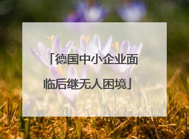 德国中小企业面临后继无人困境