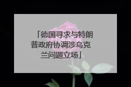 德国寻求与特朗普政府协调涉乌克兰问题立场