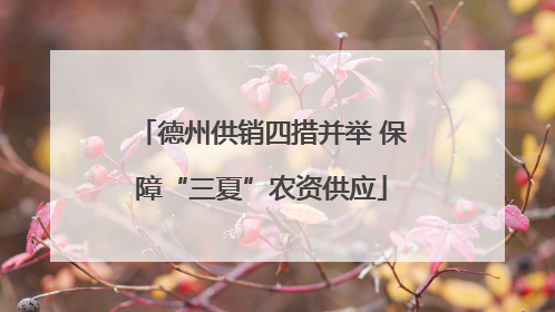 德州供销四措并举 保障“三夏”农资供应
