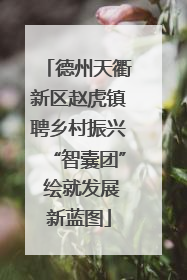 德州天衢新区赵虎镇聘乡村振兴“智囊团” 绘就发展新蓝图