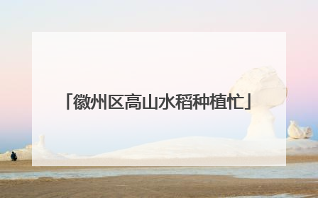 徽州区高山水稻种植忙