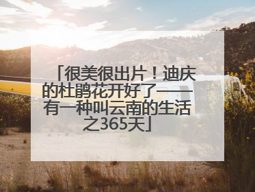 很美很出片！迪庆的杜鹃花开好了——有一种叫云南的生活之365天