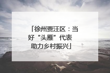 徐州贾汪区：当好“头雁”代表 助力乡村振兴
