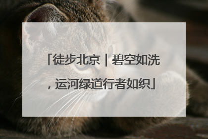 徒步北京｜碧空如洗，运河绿道行者如织