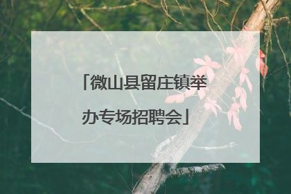 微山县留庄镇举办专场招聘会