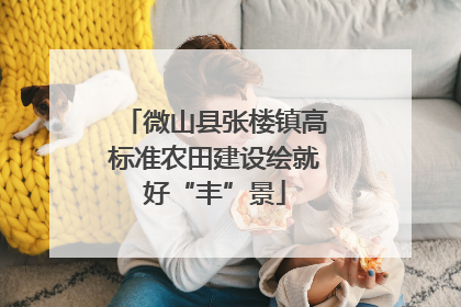 微山县张楼镇高标准农田建设绘就好“丰”景