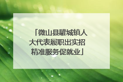 微山县驩城镇人大代表履职出实招精准服务促就业