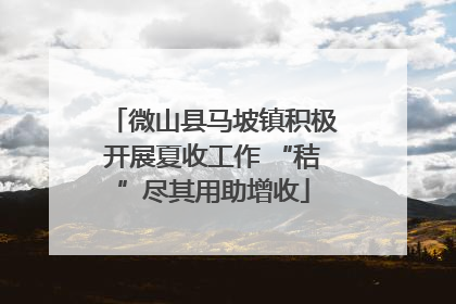 微山县马坡镇积极开展夏收工作 “秸”尽其用助增收