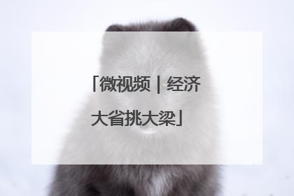 微视频｜经济大省挑大梁