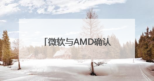 微软与AMD确认战略合作 高呼要让Windows成为头号游戏平台