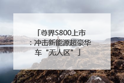 尊界S800上市：冲击新能源超豪华车“无人区”