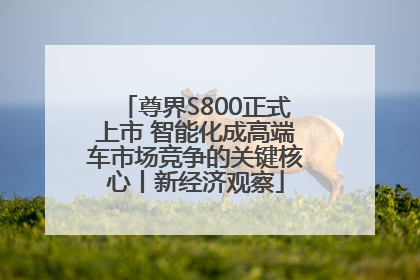 尊界S800正式上市 智能化成高端车市场竞争的关键核心丨新经济观察