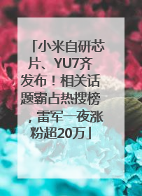 小米自研芯片、YU7齐发布！相关话题霸占热搜榜，雷军一夜涨粉超20万