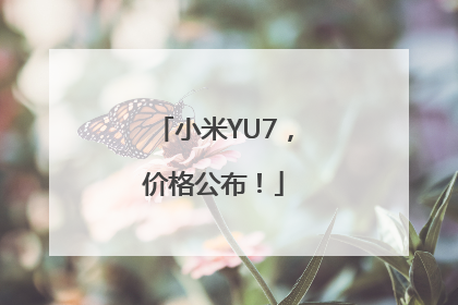 小米YU7，价格公布！