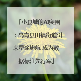 小县城的AI突围：高青县田镇街道引来星途旗航 成为数据标注先行军