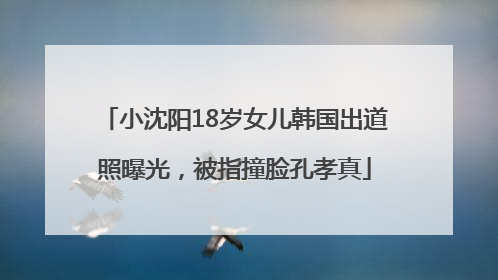 小沈阳18岁女儿韩国出道照曝光，被指撞脸孔孝真