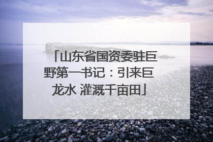 山东省国资委驻巨野第一书记：引来巨龙水 灌溉千亩田