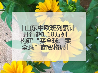 山东中欧班列累计开行超1.18万列 构建“买全球、卖全球”商贸格局