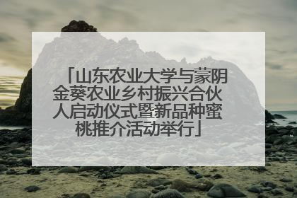 山东农业大学与蒙阴金葵农业乡村振兴合伙人启动仪式暨新品种蜜桃推介活动举行
