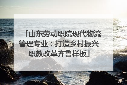 山东劳动职院现代物流管理专业：打造乡村振兴职教改革齐鲁样板