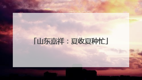 山东嘉祥：夏收夏种忙