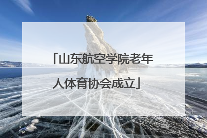 山东航空学院老年人体育协会成立