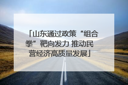 山东通过政策“组合拳”靶向发力 推动民营经济高质量发展