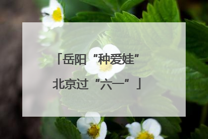 岳阳“种爱娃” 北京过“六一”